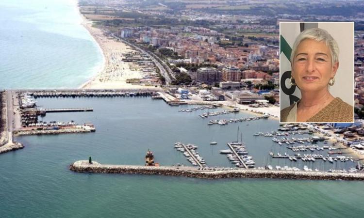"Viviamo Civitanova" replica a Ciarapica: "Nessuna polemica, ma pretendiamo rispetto per i nostri 300 soci" "Viviamo Civitanova" replica a Ciarapica: "Nessuna polemica, ma pretendiamo rispetto per i nostri 300 soci"