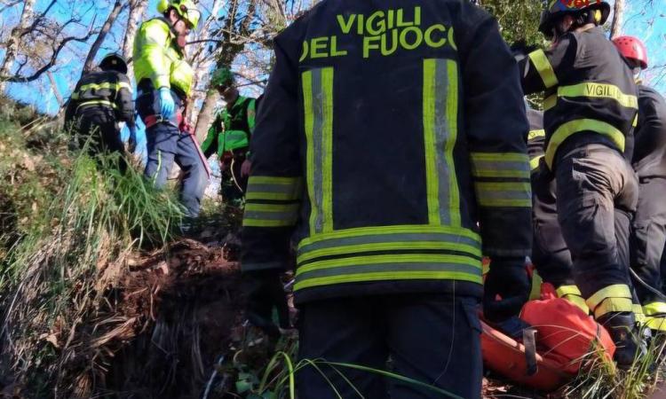 Boscaiolo precipita in un burrone per 10 metri: salvato con un'operazione complessa Boscaiolo precipita in un burrone per 10 metri: salvato con un'operazione complessa