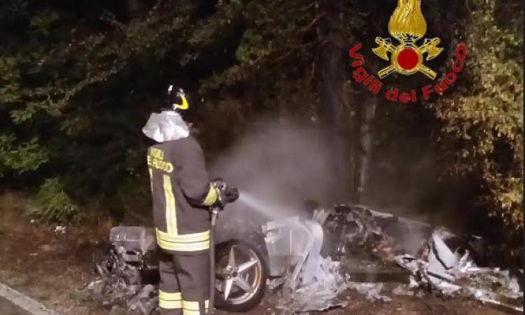 Ferrari contro cinghiale, la regione Marche vince il ricorso: ex sindacalista dovrà risarcire 70mila euro