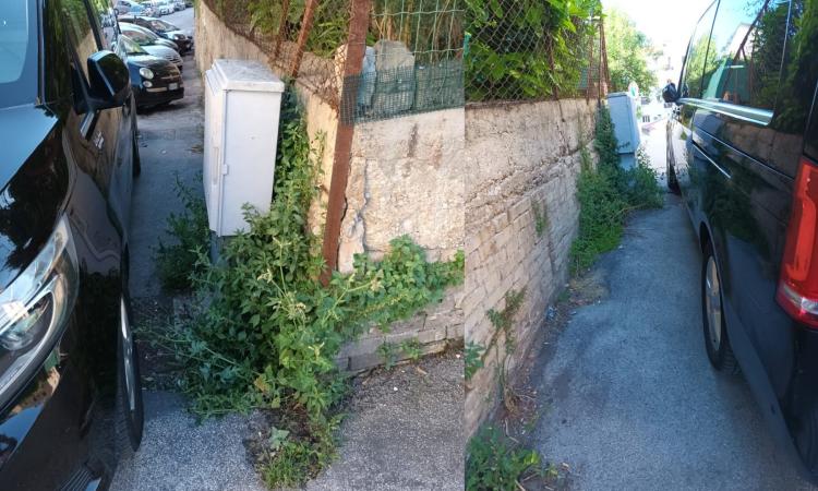 Macerata - "Persone con disabilità e anziani penalizzati in via Zorli. Non si passa nemmeno a piedi" Macerata - "Persone con disabilità e anziani penalizzati in via Zorli. Non si passa nemmeno a piedi"