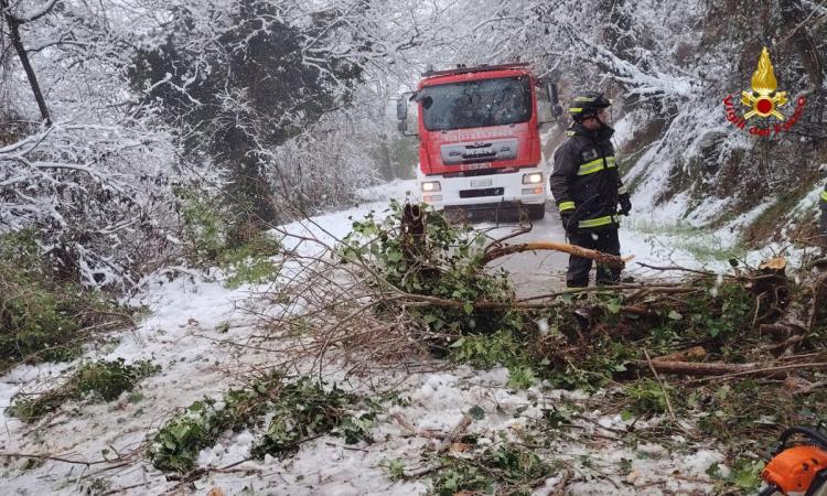 Neve e alberi caduti, Vigili del fuoco al lavoro nel Fabrianese
