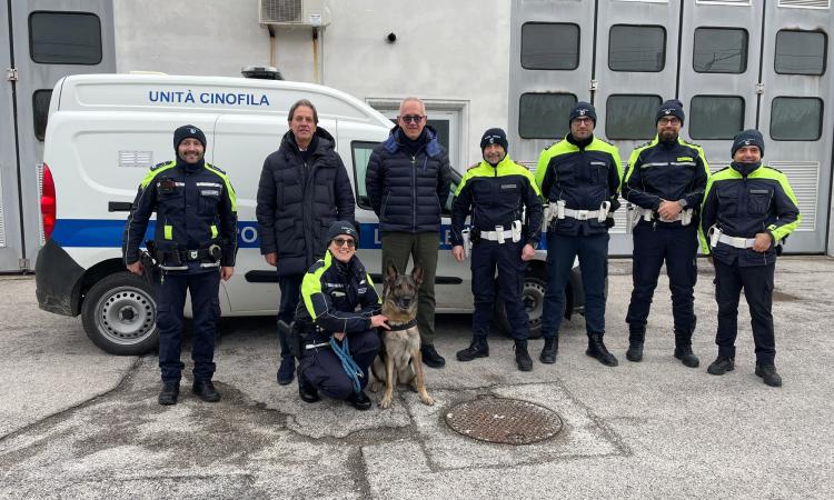 Il "fiuto" della legalità: il cane 'Ila' debutta a Civitanova, al via l'asse con Ascoli