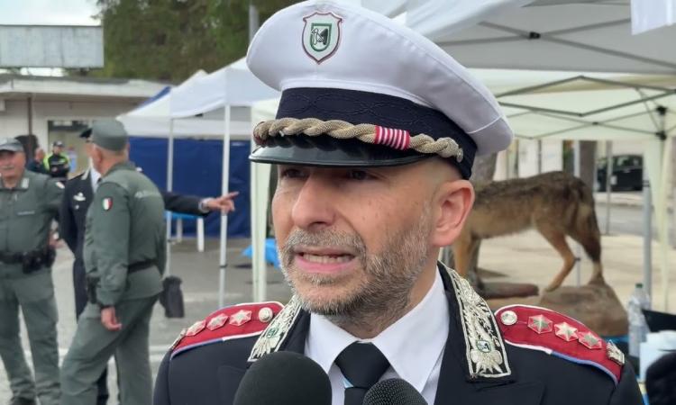 Chiuso ristorante etnico a Civitanova: carenze igieniche e alimenti non tracciati