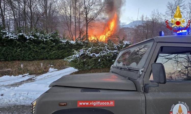 Incendio ad Amandola, Vigili del Fuoco salvano animali e mettono in sicurezza la baita