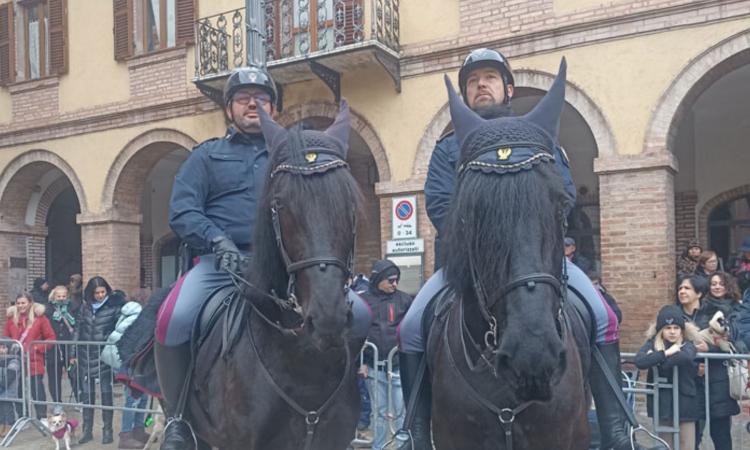 Tolentino celebra sant'Antonio: torna la solenne benedizione degli animali