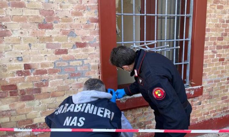 Maxi furto di farmaci: identificati i due presunti autori