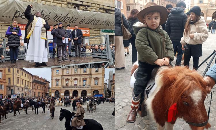 Tolentino, Enea e il pony Jack Sparrow: la coppia più amata alla benedizione di Sant’Antonio
