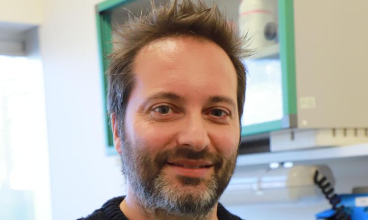 "Dormire poco rallenta il cervello": lo studio Unicam pubblicato su Pnas "Dormire poco rallenta il cervello": lo studio Unicam pubblicato su Pnas