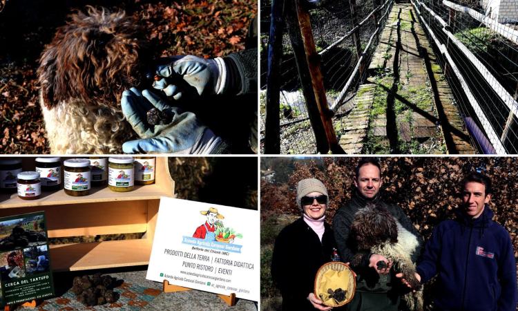 Belforte del Chienti, dove il tartufo è di casa: la scommessa vinta della famiglia Carassai (FOTO e VIDEO)