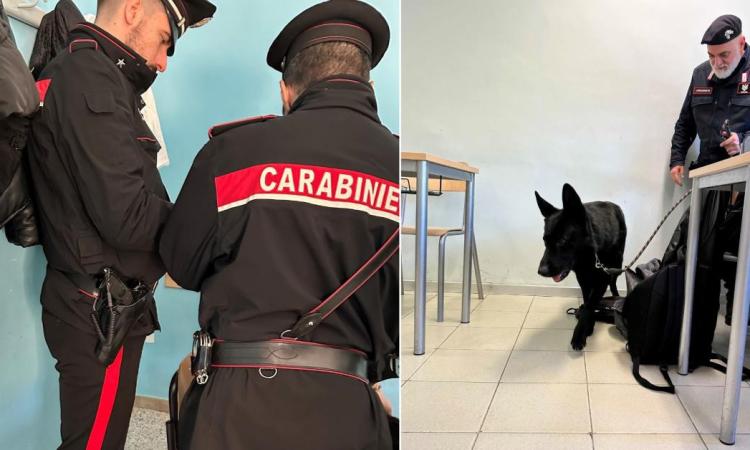 Controlli antidroga nelle scuole del Maceratese: sequestri e un giovane segnalato