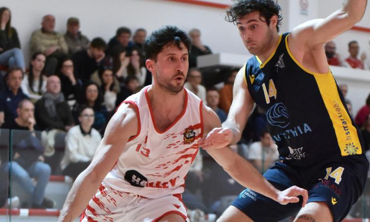 Halley Matelica, prova di forza: Recanati ko nel derby, Davico debutta con 16 punti Halley Matelica, prova di forza: Recanati ko nel derby, Davico debutta con 16 punti