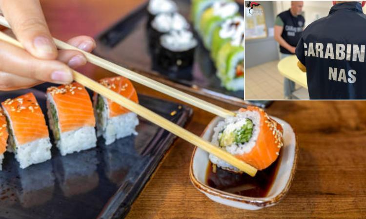 Civitanova, 55 chili di pesce sequestrato e sporco diffuso: chiuso un ristorante sushi