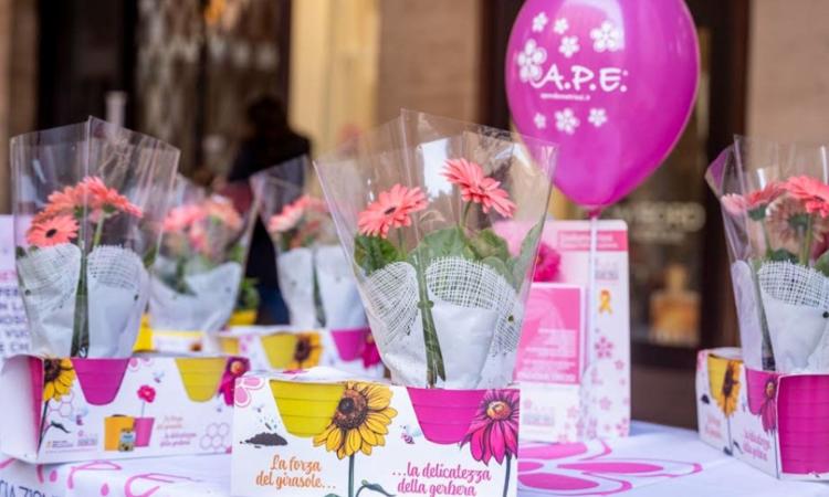 Macerata a sostegno dell’informazione sull’endometriosi: torna “I Fiori della Consapevolezza”