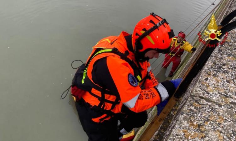 Ritrovato il corpo senza vita di un uomo nel fiume Misa