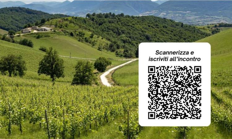 Sinclinale Camerte: workshop culinario a Castelraimondo per valorizzare il Verdicchio di Matelica Sinclinale Camerte: workshop culinario a Castelraimondo per valorizzare il Verdicchio di Matelica