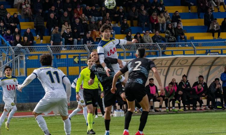 Eccellenza, il Trodica lotta nel finale ma cade a Urbino: i ducali si impongono 3-2 Eccellenza, il Trodica lotta nel finale ma cade a Urbino: i ducali si impongono 3-2