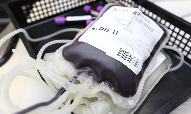 Spreco di plasma, nasce la commissione di verifica: al via l'indagine interna