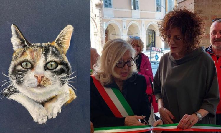 San Severino, l’universo pittorico di Gianna La Torre in mostra al Palazzo Comunale San Severino, l’universo pittorico di Gianna La Torre in mostra al Palazzo Comunale