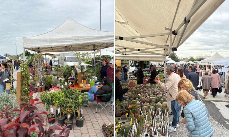 Trodica in Fiore, arriva la nona edizione: piazza Pertini si fa giardino per un giorno