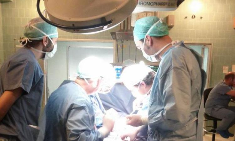 Chirurgia della tiroide a Civitanova, l'eccellenza è di casa: zero danni neurologici su 144 interventi