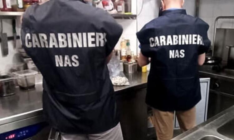 Formiche sui piani di lavoro e carcassa di topo: chiuso ristorante chalet a Civitanova