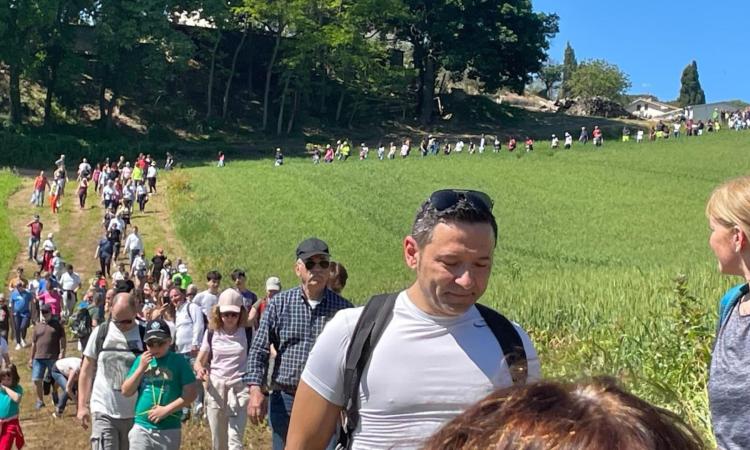 Primo maggio e non solo: passeggiate, laboratori e celebrazioni a Mogliano Primo maggio e non solo: passeggiate, laboratori e celebrazioni a Mogliano