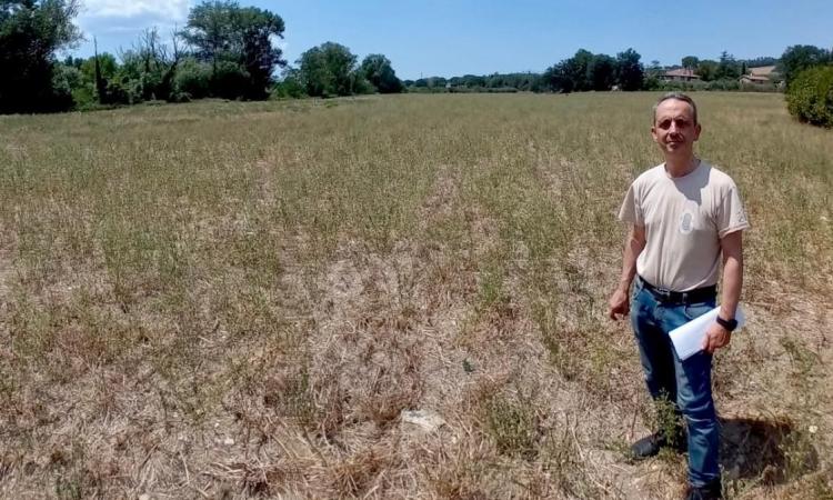 Un parco sul Chienti a Piediripa, la proposta di Blarasin: “Restituire centralità al fiume” Un parco sul Chienti a Piediripa, la proposta di Blarasin: “Restituire centralità al fiume”