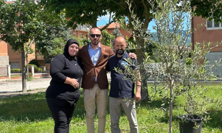 Matelica, piantati sei alberi in memoria di Beljdi Seferi