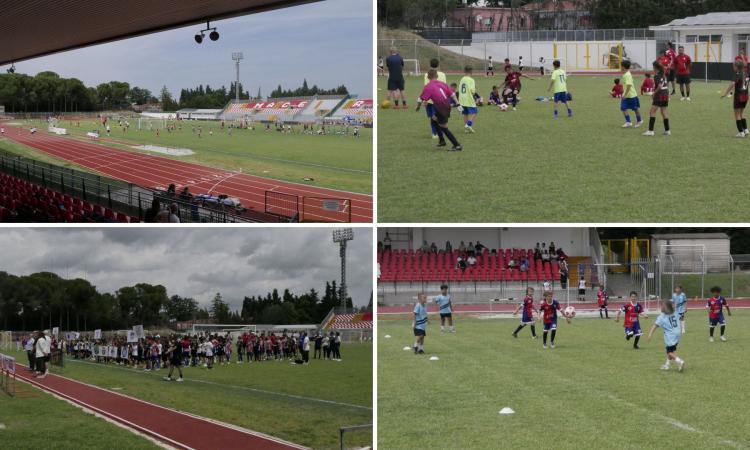 torneo-macerata