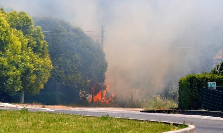 incendio-campo-grano