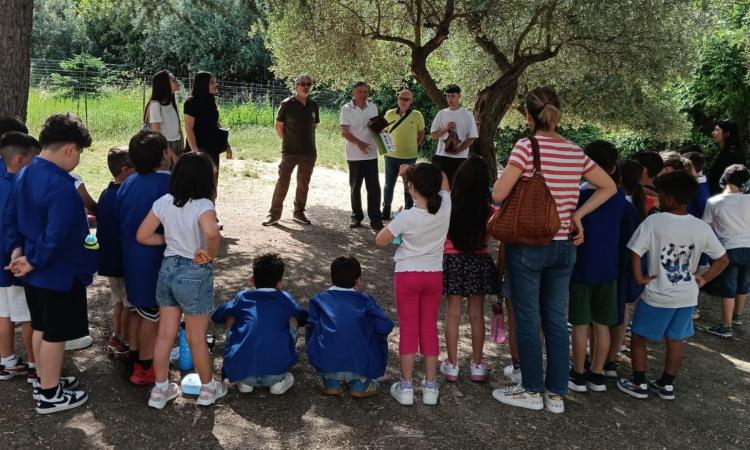 Macerata, casette nido nei cortili delle scuole per la tutela della biodiversità Macerata, casette nido nei cortili delle scuole per la tutela della biodiversità
