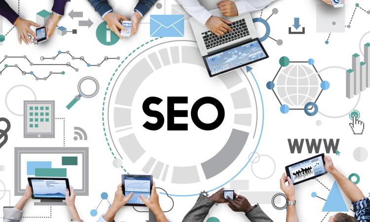 seo-link seo-link