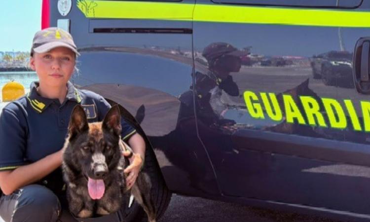 cane-antidroga cane-antidroga