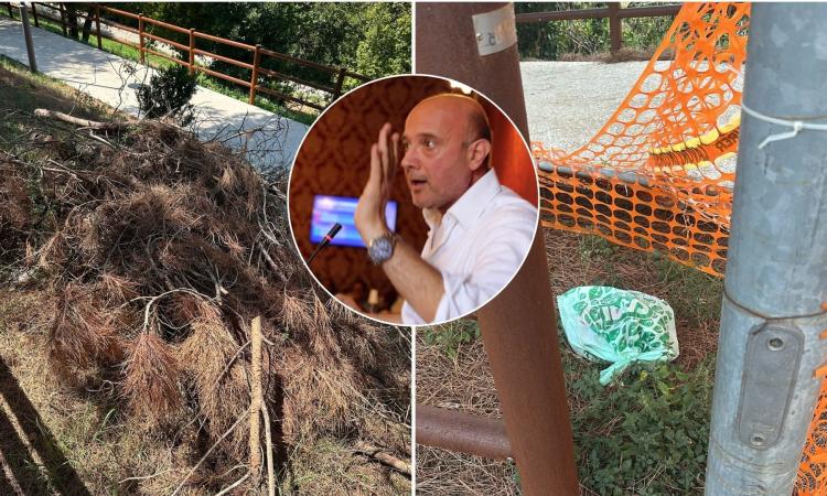 lattanzi-scarsa-manutenzione-del-verde lattanzi-scarsa-manutenzione-del-verde