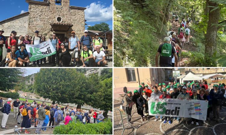 sisma-sport-acli-marche sisma-sport-acli-marche