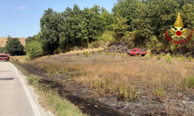 incendio Cingoli
