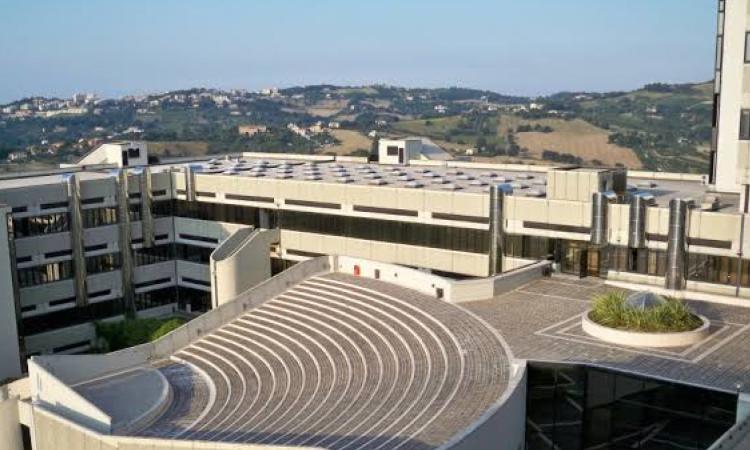 Università Politecnica delle Marche