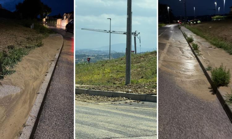 vergini_macerata_disagi vergini_macerata_disagi