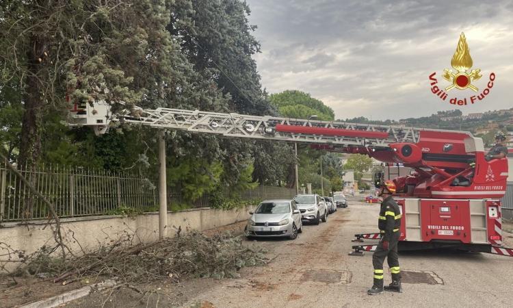 maltempo-marche-vigili-del-fuoco maltempo-marche-vigili-del-fuoco