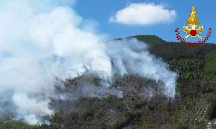 incendio-caldarola incendio-caldarola