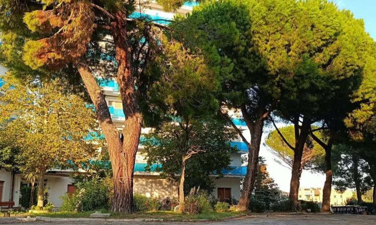 porto-recanati-condominio-pineta-pini porto-recanati-condominio-pineta-pini
