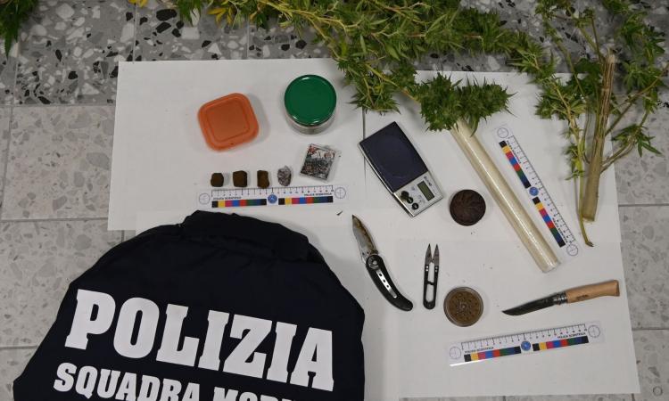 marijuana-casa-uomo-macerata marijuana-casa-uomo-macerata