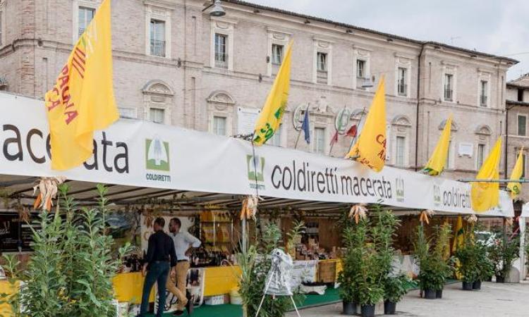 San Severino: domenica si celebra la Giornata del Ringraziamento