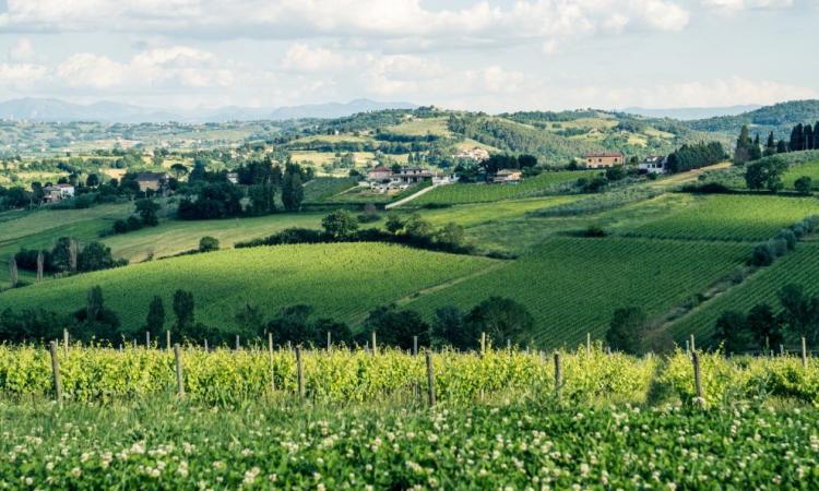 Anche Matelica fra le 13 le 'Spighe Verdi' 2016, le bandiere blu rurali