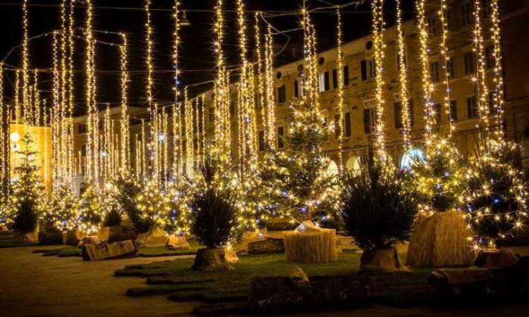 Bosco Urbano a San Severino: sabato l'allestimento finale