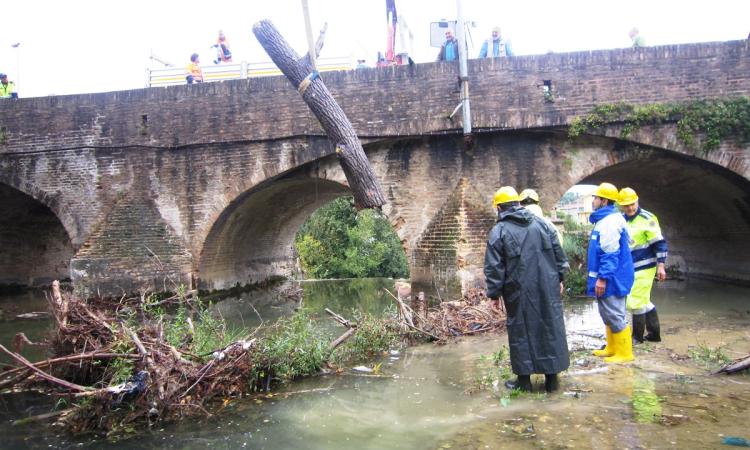 Le campate di ponte S.Antonio libere da tronchi e arbusti