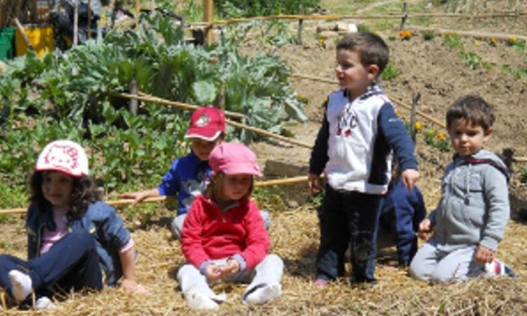 Prove di ritorno alla normalità: a San Ginesio aperto l'Agrinido