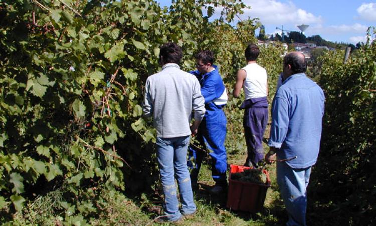 All’Agraria domenica torna Scuola Aperta