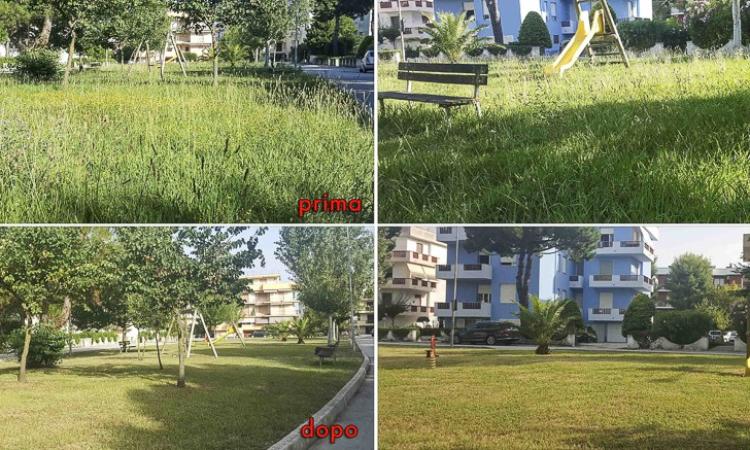 Decoro urbano, la soddisfazione di Fratelli d'Italia per gli interventi ottenuti