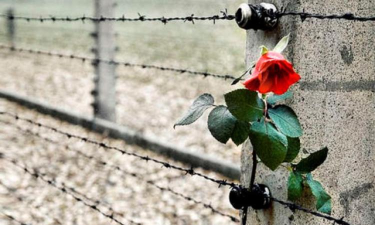 "Giorno della memoria": film e lezione d'approfondimento nelle scuole